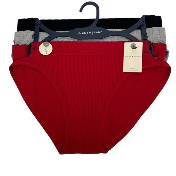 Lucky Brand Other - Lucky Brand Women’s Panties Sz Large Pkg/3 Seamless Bikinis Multi Colors Tagless